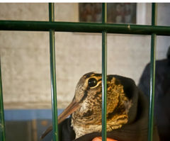 Zur genau richtigen Zeit am richtigen Ort