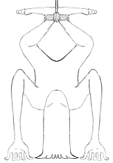 Hanged Man.png