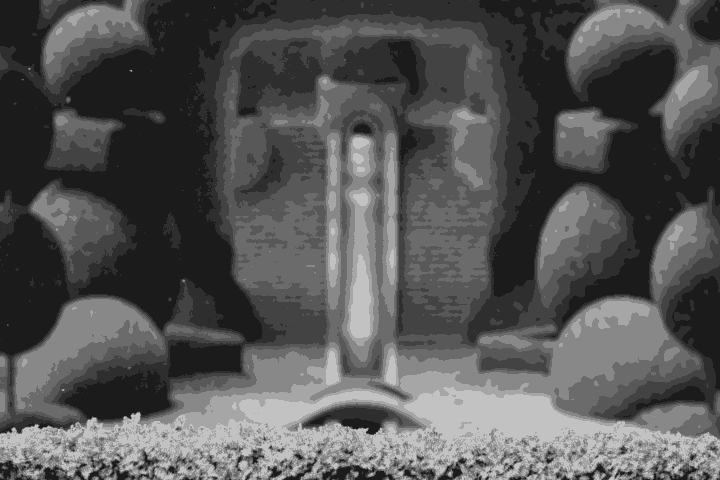  Charcoal Garden.gif