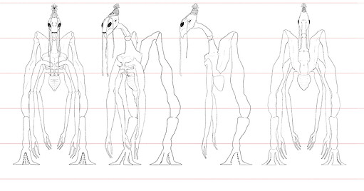 construction sheet.jpg