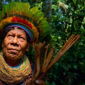 What A Shaman Sees In A Mental Hospital