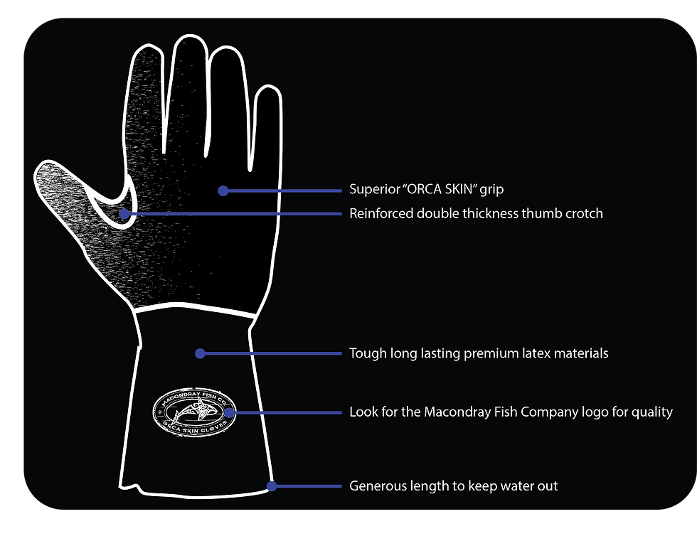 Thumbnail: Orca Skin Gloves