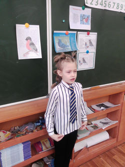 доклад о птицах