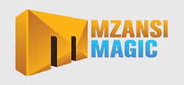 Mzansi_Magic_Logo.jpeg