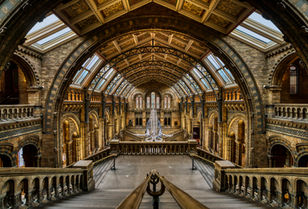 Grand central hall inside the Natural History Museum in London, England, featuring Victorian architecture, ornate arches, a glass roof, and sweeping staircases.
