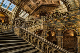 Grand staircase inside the Natural History Museum in London, England, featuring ornate stone arches, carved balustrades, vaulted ceilings, and historic Victorian architecture.