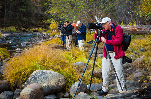Attendees photographing by river