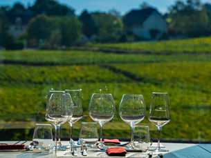 Photography and Biking in Burgundy