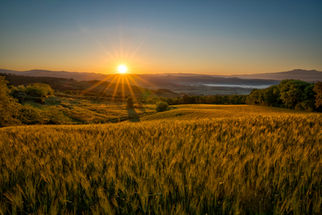 Sunrise over the rolling hills of Tuscany, Italy, featuring golden fields, distant vineyards, and warm morning light stretching across the scenic countryside.