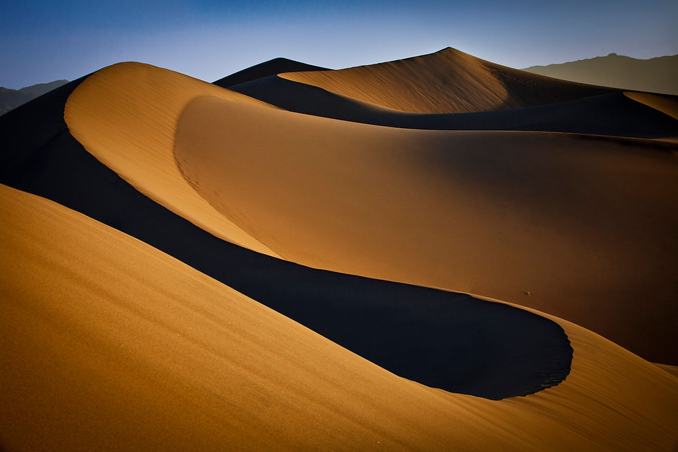 Golden sand dunes at sunrise in Death Valley National Park, showcasing sweeping curves, dramatic light, and deep shadows.