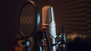 Michelle on some Podcasts!