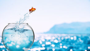 Uncertainty is opportunity