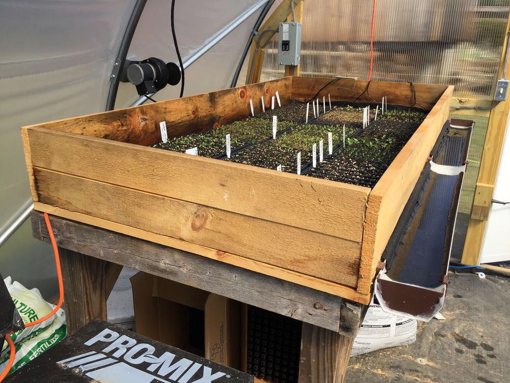 How to Build a Seed Incubator