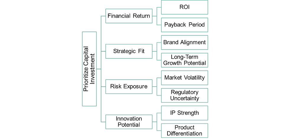 Example of AHP Criterion