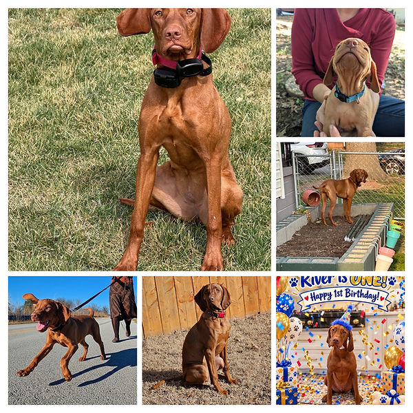 PXL_20250927_162010301-COLLAGE.jpg
