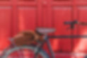brown-bag-bicycle-against-closed-red-door.jpg