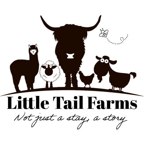 Little Tail Farms photo 2