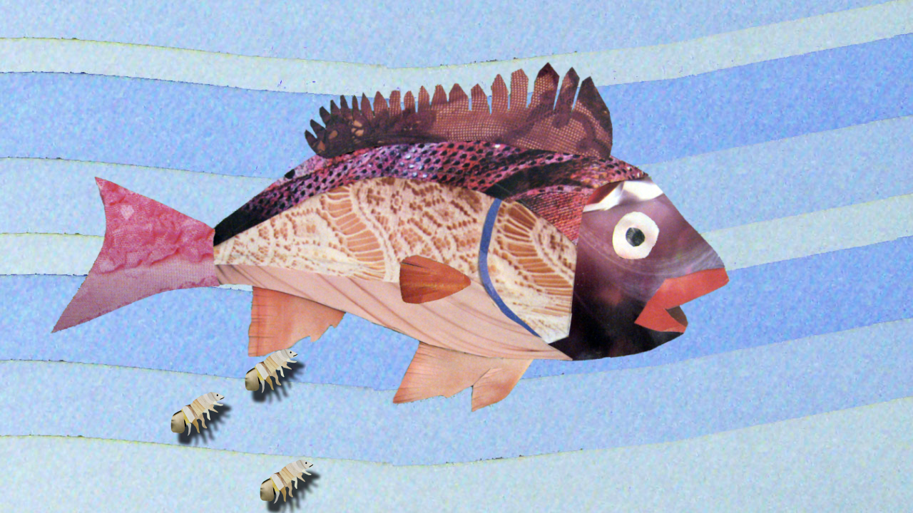 Anna Rothschild About