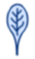 Blue leaf icon, Pacific NW CSA
