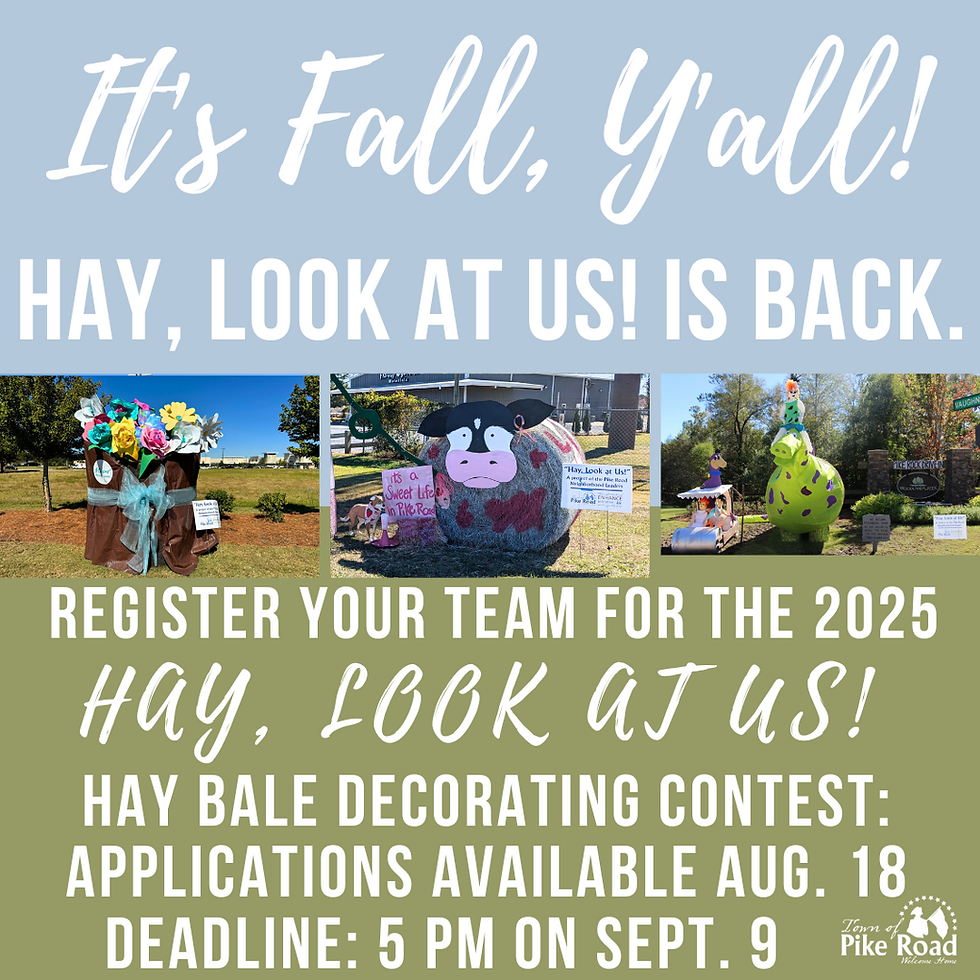 2025 Hay! Look at Us: Registration