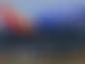 Southwest Airlines