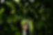 Aimee & Christain Bryn Du Mansion Estate Destination Wedding Bear Creative Photography