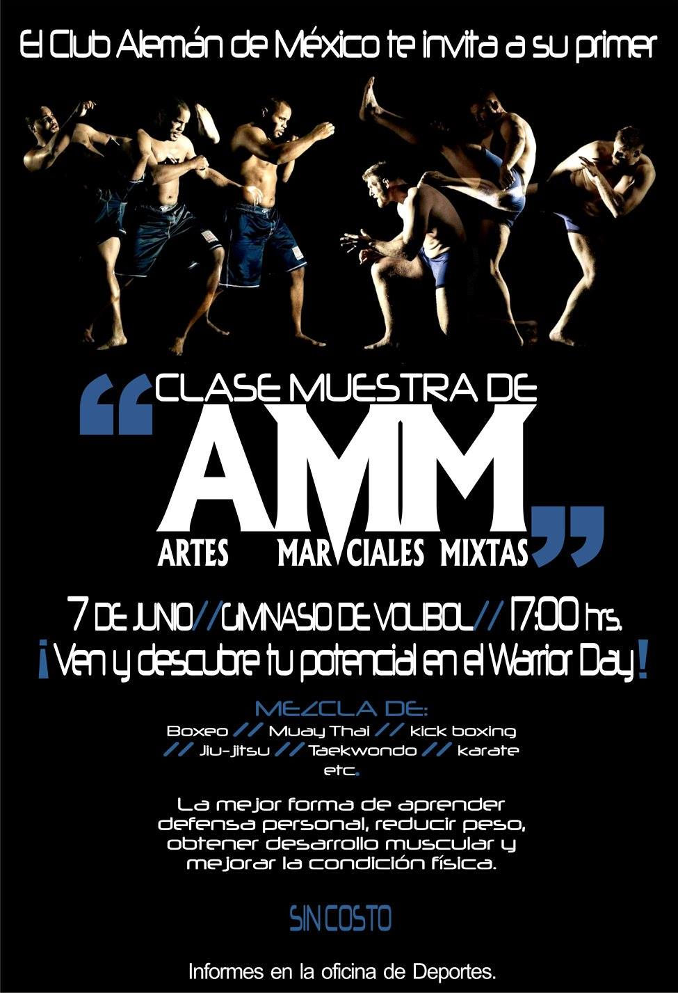 CARTEL CLASES MARCIALES MIXTAS