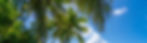 270231050_10161821117753289_8764149300486801929_n_edited.jpg