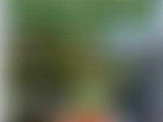 Interrogazione alla Giunta Comunale