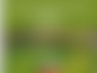 Grandi opere, poche certezze: così Trento perde le priorità.