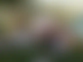 A large group of children and park officials posing for a photo at a Green Flag Award-winning site in the United Arab Emirates.