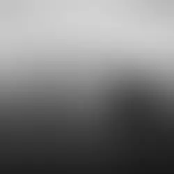 Black and white photo of a field and tree line on a misty day.