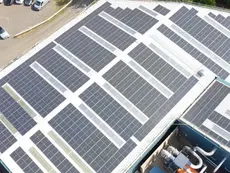 Close-up aerial view of a rooftop solar PV system on a business premises in West Suffolk.