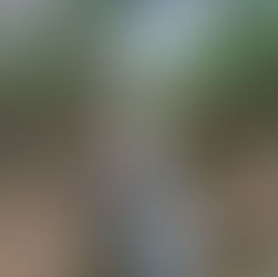 trecho de rio secando, mas ainda com água