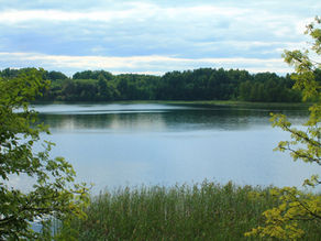 Modelagem para mitigar: o desafio das florações nos reservatórios hidrelétricos