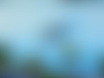 EcoNumérica elabora estudo hidrológico para implantação de ponte sobre o rio São Francisco, entre Penedo/AL e Neópolis/SE