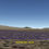 Thumbnail: 38 acres adjacent to 640 acres BLM!