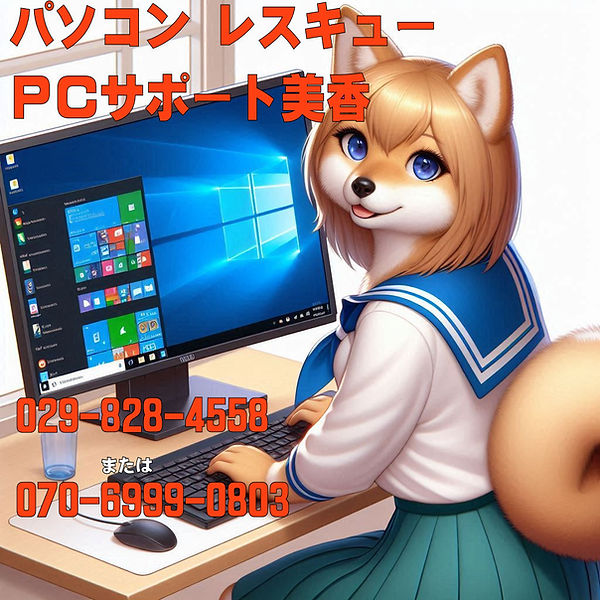 リアルな柴犬の女の子.jpg
