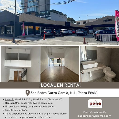 Facebook post Plaza fénix (3).png