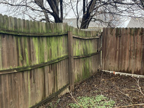 Common Fence Problems and How to Prevent Them