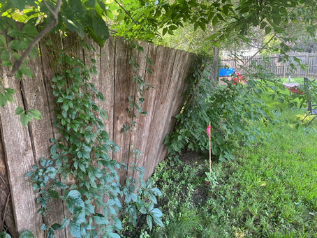 Why is My Fence Leaning?