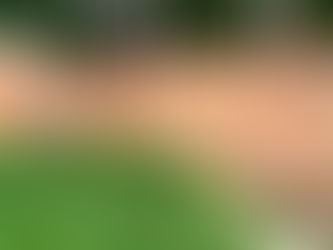 Horizontal Fencing: Modern Design Meets Functionality