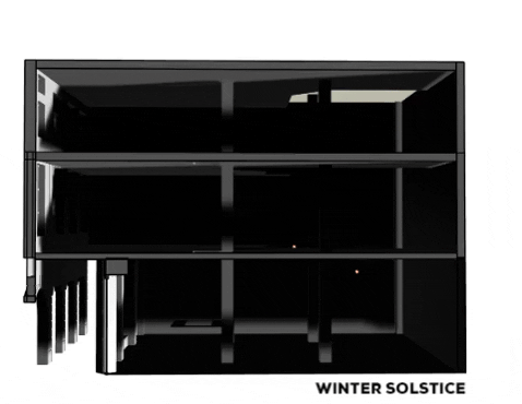 Animated GIF-downsized winter.gif