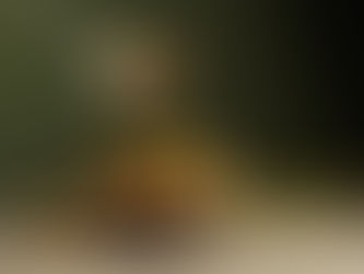 From Farm to Table: The Story of Pearl Olives