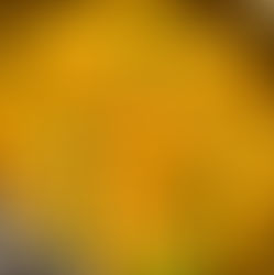 Delicious chicken breasts with chickpeas in middle eastern seasoning