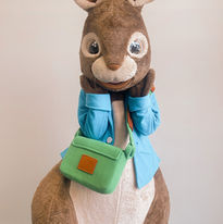 peter rabbit.jpeg