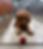 Dog looking at a tennis ball excitedly