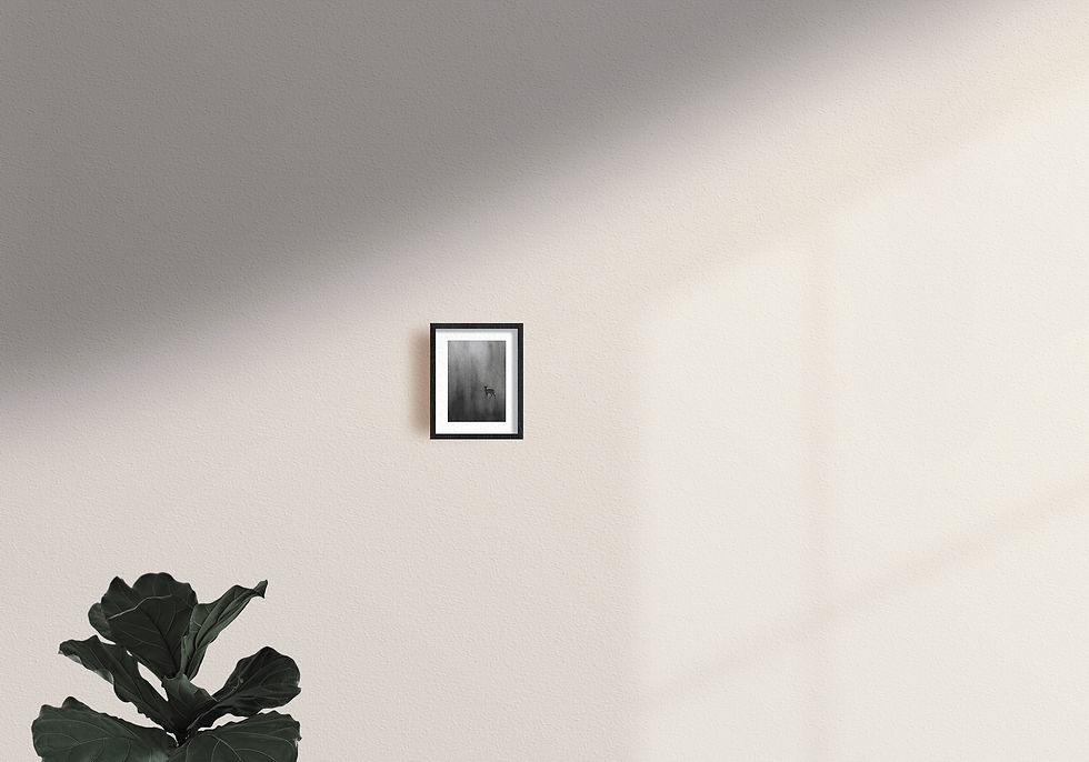 Miniature : Silhouette de chevreuil dans le brouillard - Impression giclée