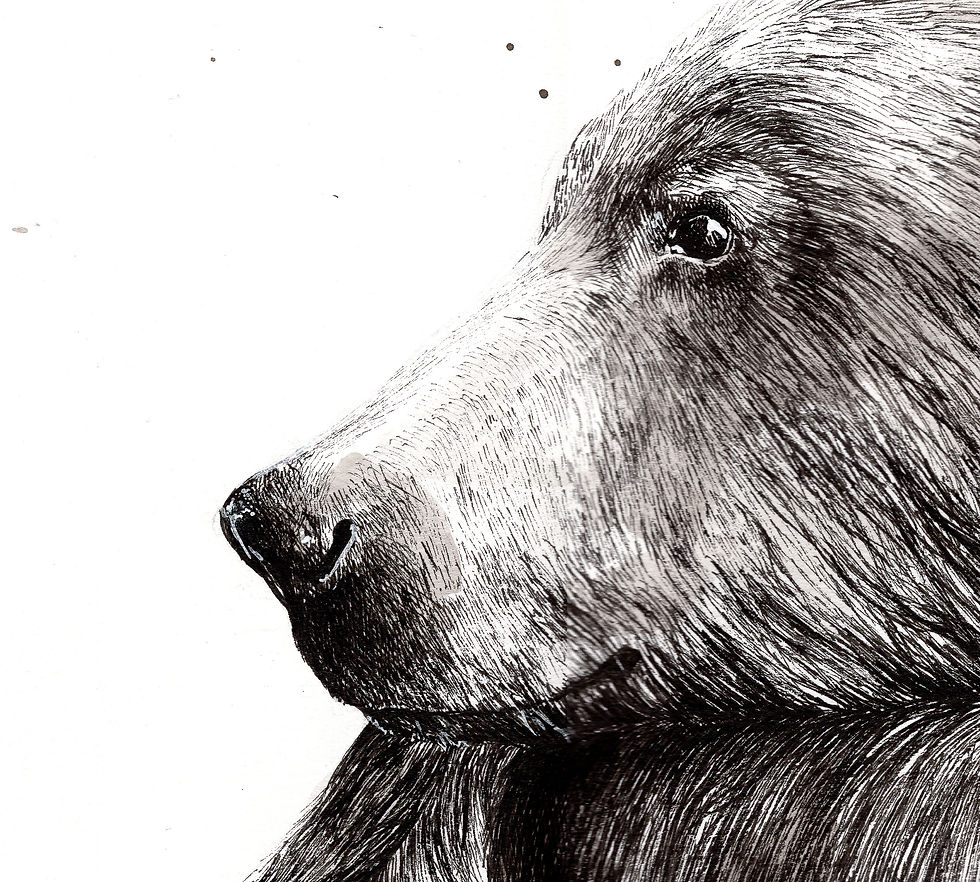 Miniature : « Et si… » (ours) - Imprimer