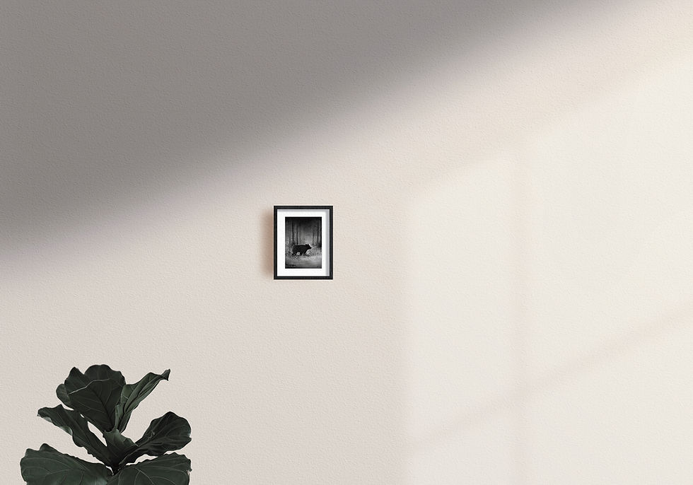 Miniature : Silhouette d'ours dans les fleurs sauvages - Impression giclée